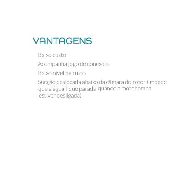 MB HIDROMASSAGEM LSPA 1300 1,5 HP MON 220V PDR LEPONO - Imagem 4